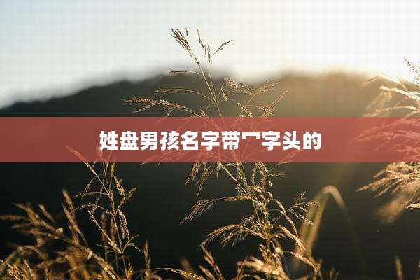 姓盘男孩名字带冖字头的
