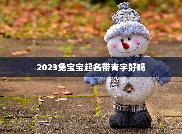 2023兔宝宝起名带青字好吗