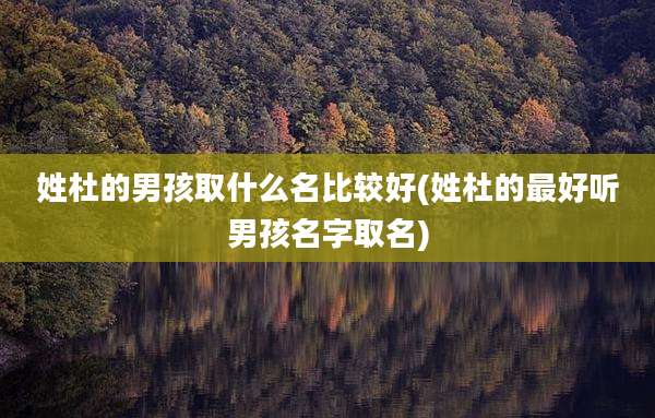 姓杜的男孩取什么名比较好(姓杜的最好听男孩名字取名)