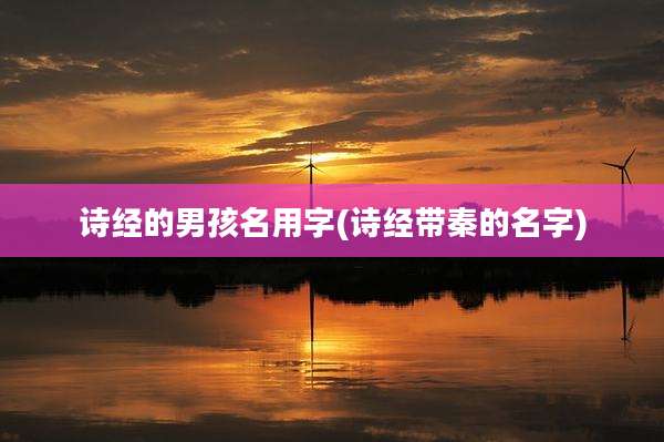 诗经的男孩名用字(诗经带秦的名字)
