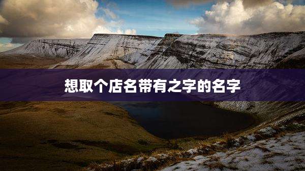 想取个店名带有之字的名字