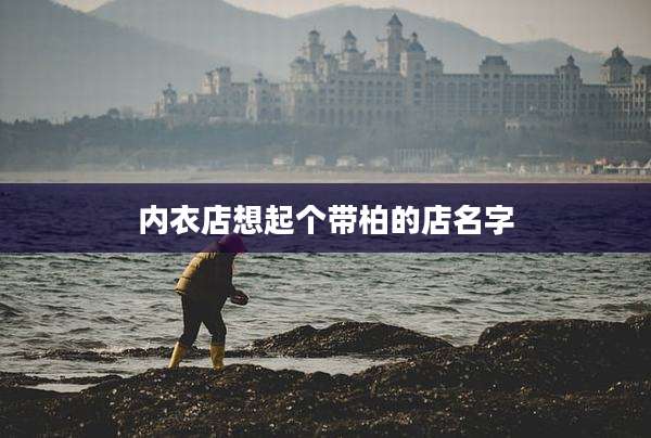 内衣店想起个带柏的店名字