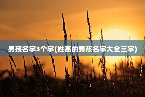 男孩名字3个字(姓高的男孩名字大全三字)