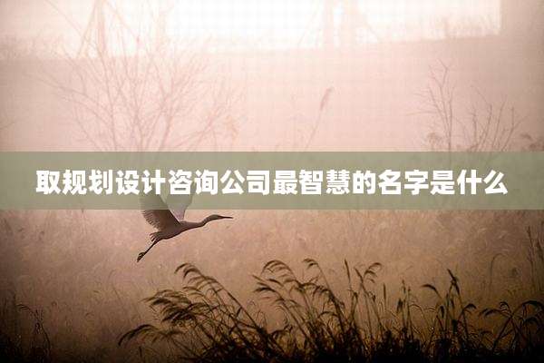 取规划设计咨询公司最智慧的名字是什么
