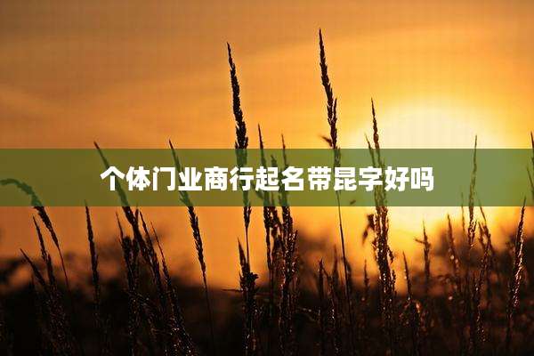 个体门业商行起名带昆字好吗