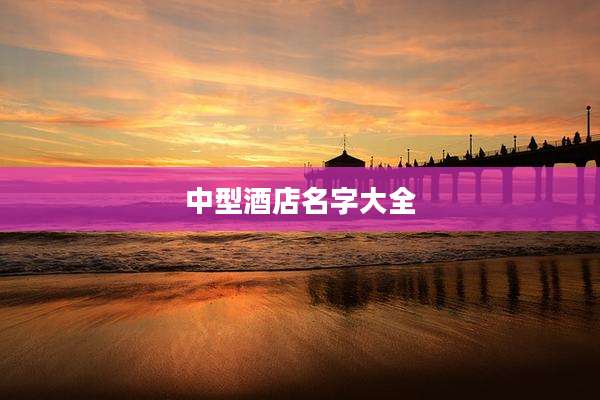 中型酒店名字大全