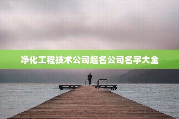 净化工程技术公司起名公司名字大全