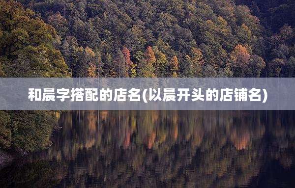 和晨字搭配的店名(以晨开头的店铺名)