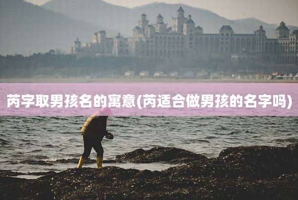 芮字取男孩名的寓意(芮适合做男孩的名字吗)