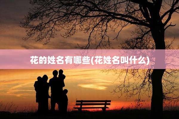 花的姓名有哪些(花姓名叫什么)