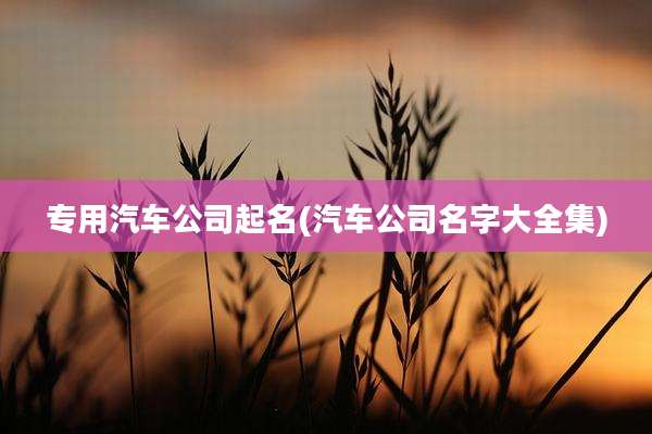专用汽车公司起名(汽车公司名字大全集)