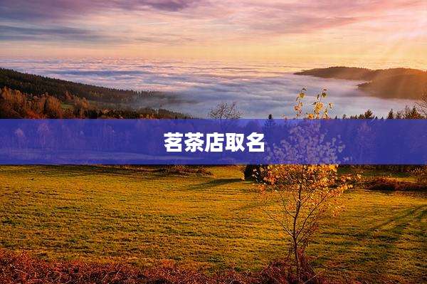 茗茶店取名