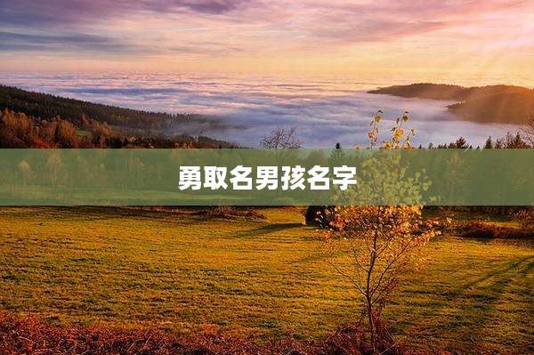 勇取名男孩名字