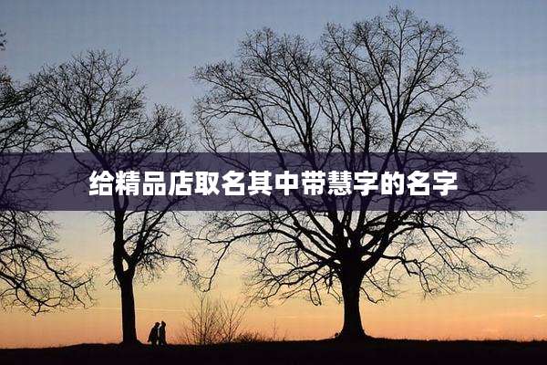 给精品店取名其中带慧字的名字