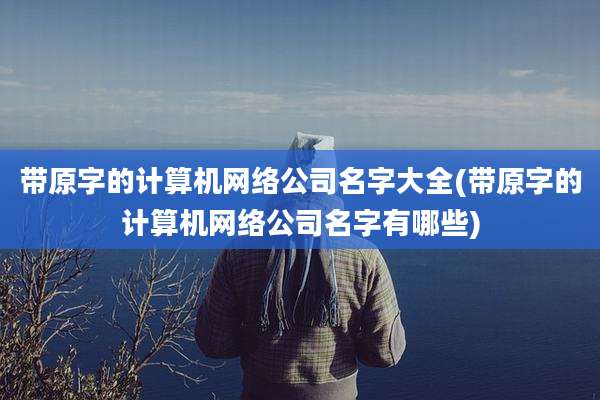 带原字的计算机网络公司名字大全(带原字的计算机网络公司名字有哪些)