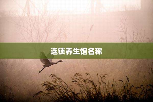 连锁养生馆名称