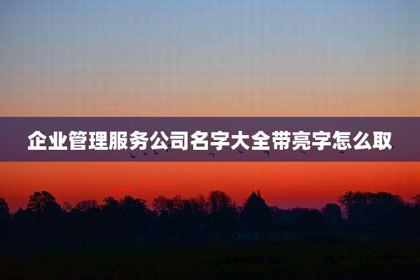 企业管理服务公司名字大全带亮字怎么取