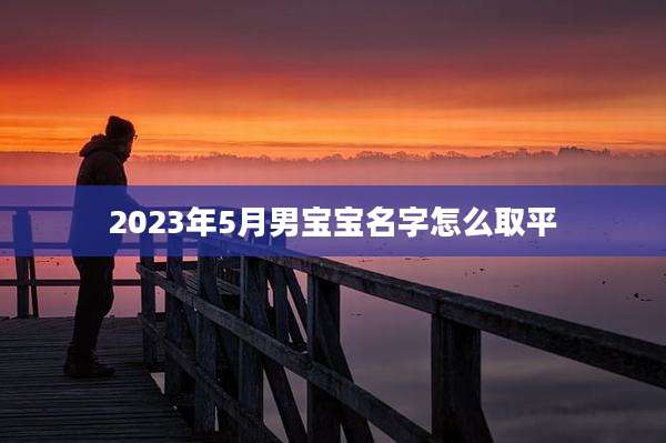 2023年5月男宝宝名字怎么取平