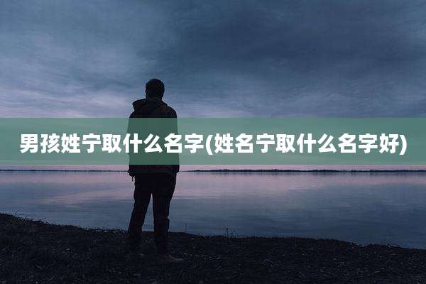男孩姓宁取什么名字(姓名宁取什么名字好)