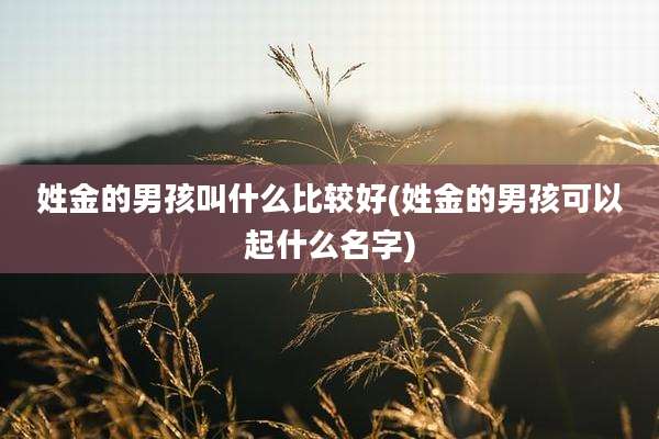 姓金的男孩叫什么比较好(姓金的男孩可以起什么名字)
