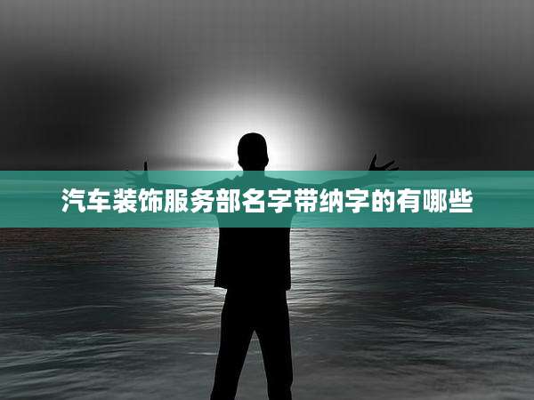 汽车装饰服务部名字带纳字的有哪些