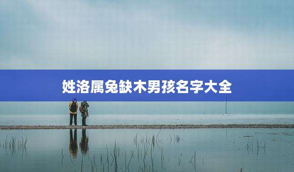 姓洛属兔缺木男孩名字大全