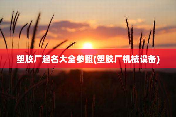 塑胶厂起名大全参照(塑胶厂机械设备)