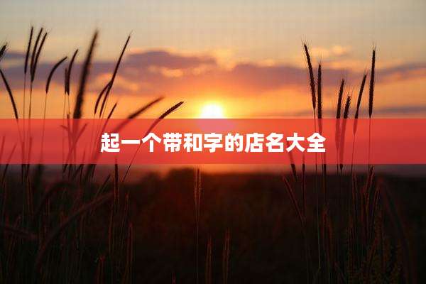 起一个带和字的店名大全