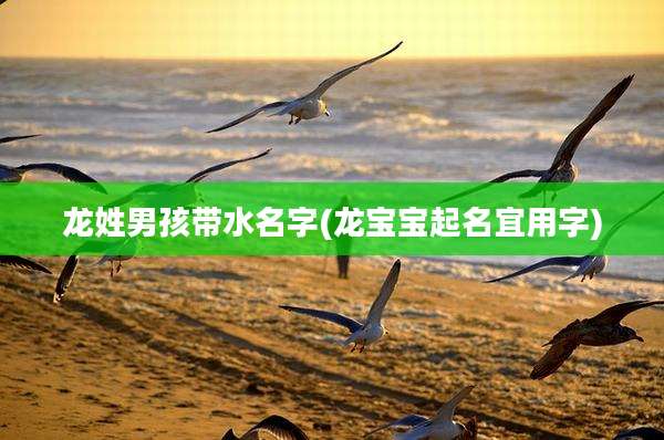 龙姓男孩带水名字(龙宝宝起名宜用字)