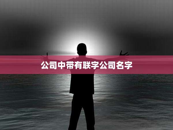 公司中带有联字公司名字