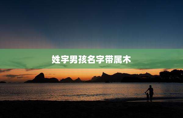 姓宇男孩名字带属木