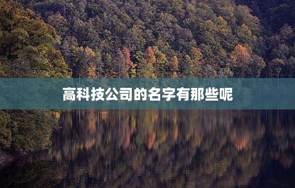 高科技公司的名字有那些呢
