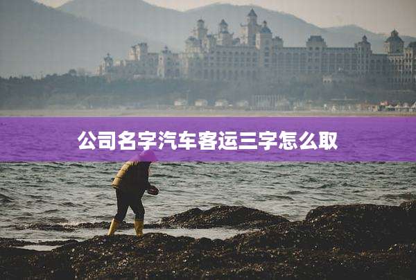 公司名字汽车客运三字怎么取