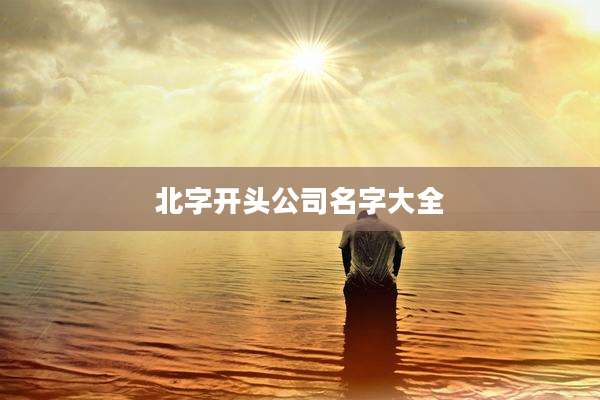 北字开头公司名字大全
