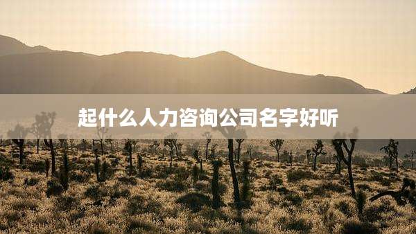 起什么人力咨询公司名字好听