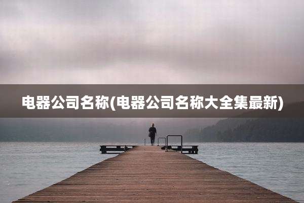 电器公司名称(电器公司名称大全集最新)