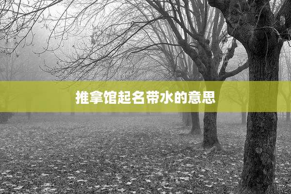 推拿馆起名带水的意思