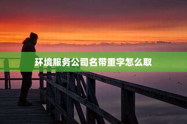 环境服务公司名带重字怎么取