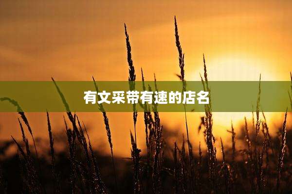 有文采带有速的店名