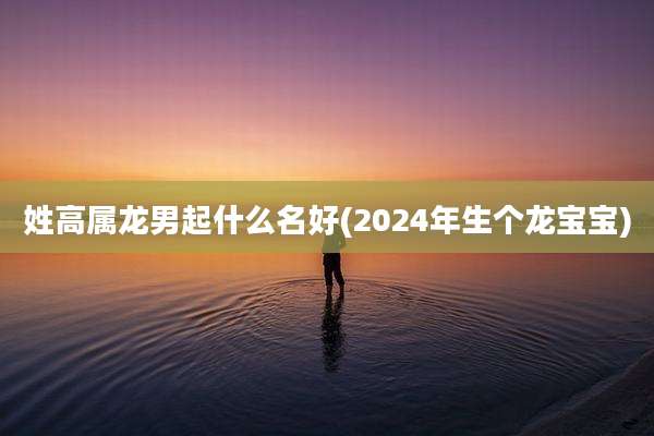 姓高属龙男起什么名好(2024年生个龙宝宝)