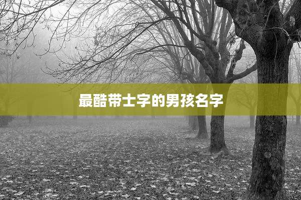 最酷带士字的男孩名字