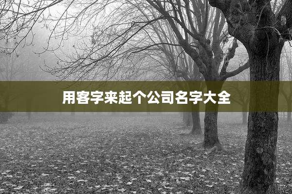 用客字来起个公司名字大全