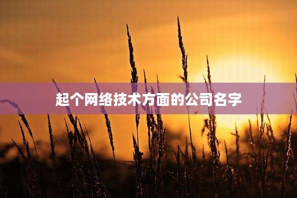 起个网络技术方面的公司名字