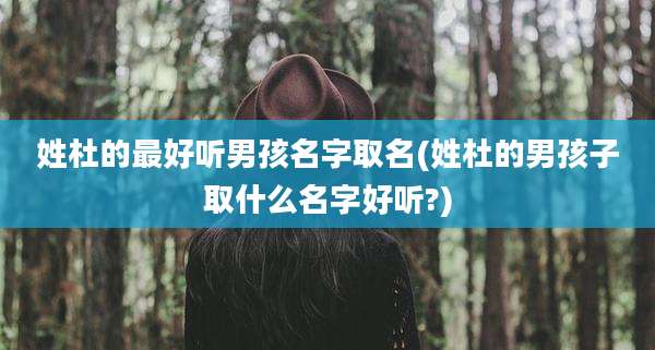 姓杜的最好听男孩名字取名(姓杜的男孩子取什么名字好听?)