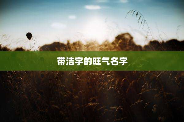 带洁字的旺气名字