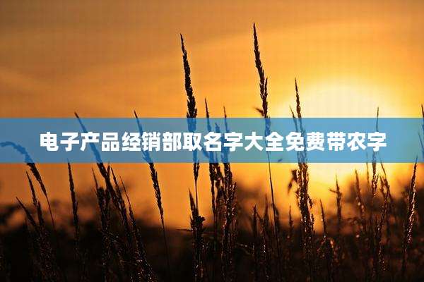 电子产品经销部取名字大全免费带农字