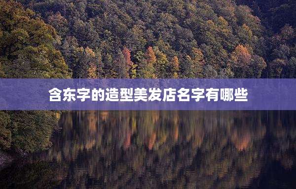 含东字的造型美发店名字有哪些