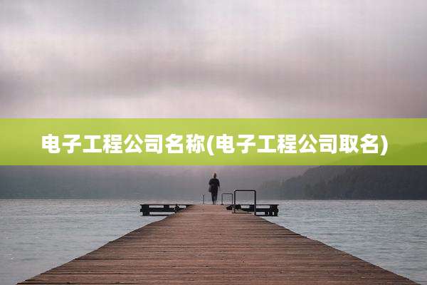 电子工程公司名称(电子工程公司取名)