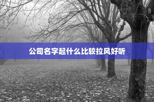 公司名字起什么比较拉风好听