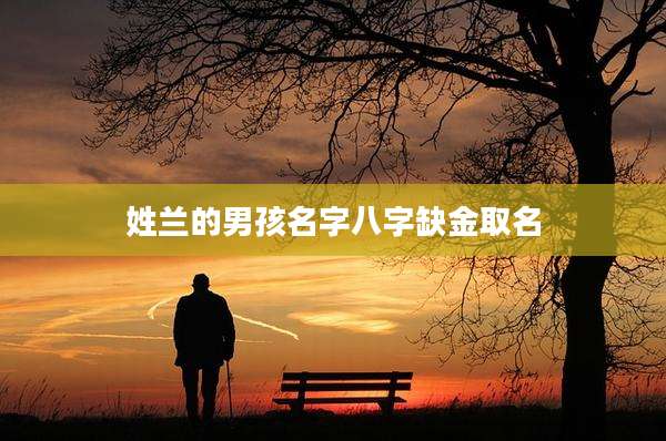 姓兰的男孩名字八字缺金取名